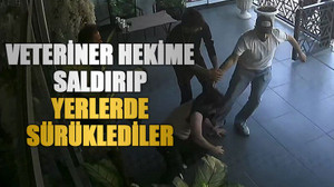 Veteriner hekime saldırıp, yerlerde sürüklediler