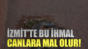 İzmit’te bu ihmal canlara mal olur!