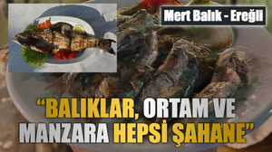 Mert Balık – Ereğli “Balıklar, ortam ve manzara hepsi şahane”