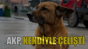 AKP, kendiyle çelişti