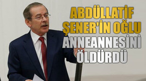 Abdüllatif Şener'in oğlu, anneannesini öldürdü