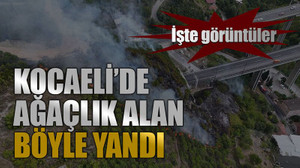 Kocaeli'de ağaçlık alan böyle yandı
