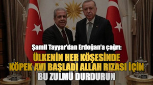 Şamil Tayyar’dan Erdoğan’a çağrı: Ülkenin her köşesinde köpek avı başladı Allah rızası için bu zulmü durdurun