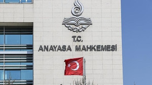 CHP, sokak hayvanları için yarın AYM'ye gidiyor