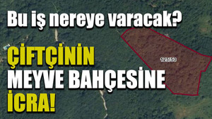 Bu iş nereye varacak? Çiftçinin meyve bahçesine icra!