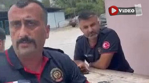 Körfez’de itfaiye kedileri toplayıp ormana attı, yaşanan tartışma şok etti!
