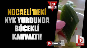 Kocaeli'deki KYK yurdunda böcekli kahvaltı!
