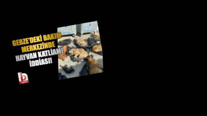 Gebze'deki katliam için Valilik soruşturma başlattı