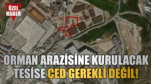 Kastamonu Entegre’ye seri “ÇED gerekli değildir”