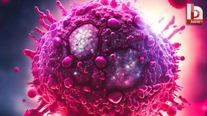Türk Kızılay’dan HIV iddialarına ilişkin açıklama