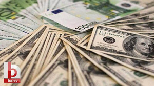 Dolar kaç lira oldu, euro ne kadar? 26 Ocak 2025 Pazar güncel dolar ve euro fiyatları