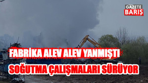 Kocaeli'de fabrika alev alev yanmıştı: Soğutma çalışmaları sürüyor