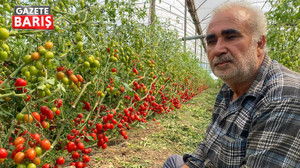 Üreticiden fiyat farkına tepki “Bizden 15 TL'ye alınıyor 70 TL'ye satılıyor”
