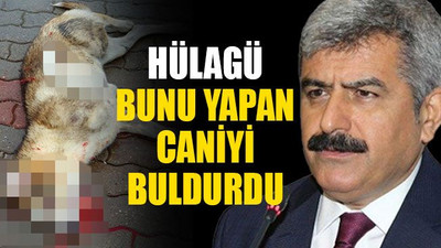 Rektör Hülagü o caniyi buldurdu