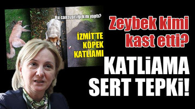 Katliama sert tepki! Zeybek kimi kast etti?
