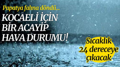 Kocaeli için bir acayip hava durumu! Papatya falına döndü!