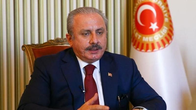 Şentop’dan Gergerlioğlu'na Meclis’te gözaltı açıklaması