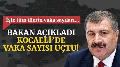 Bakan açıkladı... Kocaeli’de vakalarda korkunç artış!