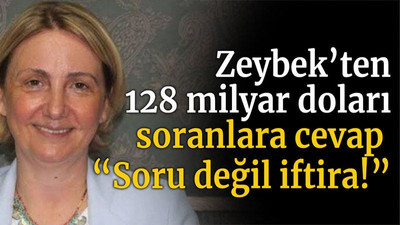 Zeybek’ten 128 Milyar Doları soranlara cevap “Soru değil iftira!”