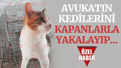 Kocaeli’de avukatın kedilerini kapanlarla yakalayıp…