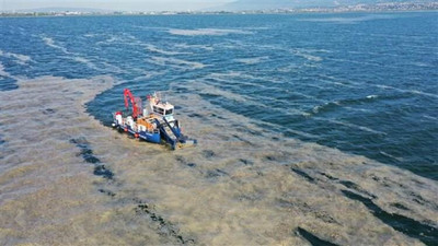 Deniz salyası meclis gündeminde