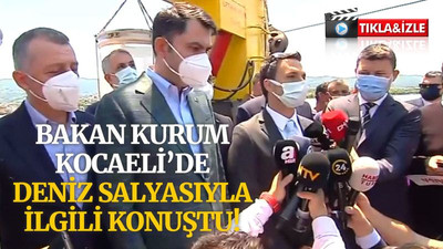 Bakan Kurum’dan Kocaeli’de deniz salyası açıklaması!