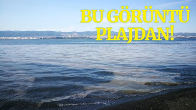 Kocaeli’deki o plaj, deniz salyası ile kaplandı