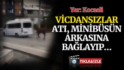 Vicdansızlar, Kocaeli'de atı, minibüsün arkasına bağlayıp…
