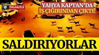 Yahya Kaptan’da iş çığırından çıktı!