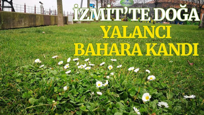Kocaeli’de doğa, yalancı bahara kandı
