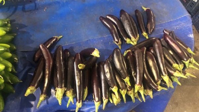 Yazık bu millete… Pazardaki fiyatların hali içler acısı