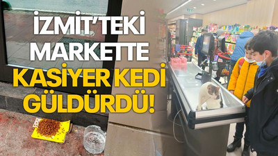 Kasiyer kedi güldürdü!