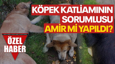 Köpek katliamının sorumlusu, amir mi yapıldı?