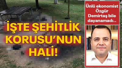 Özgür Demirtaş bile dayanamadı... İşte Şehitlik Korusu’nun hali!