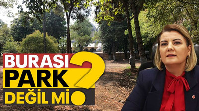 Burası park değil mi?