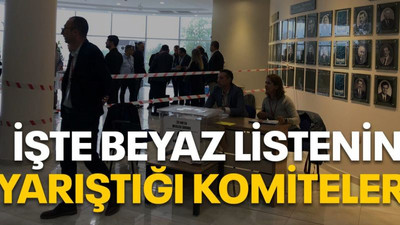 İşte beyaz listenin yarıştığı komiteler!