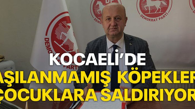 Kocaeli’de aşılanmamış köpekler çocuklara saldırıyor