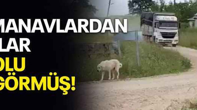 Oyu Manavlardan alanlar bir yolu çok görmüş!