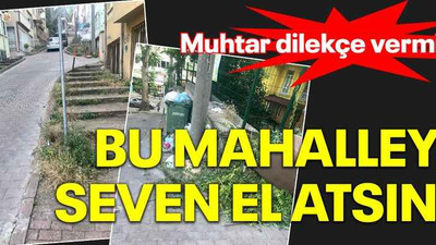 Muhtar dilekçe vermiş, bu mahalleyi seven el atsın!