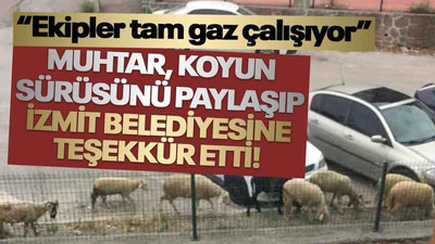 Muhtar, kahkaha attırdı... Koyun sürüsünü çekip, ekiplere teşekkür etti!