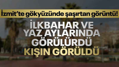 İzmit’te gökyüzünde şaşırtan görüntü! İlkbahar ve yaz aylarında görülürdü, kışın görüldü