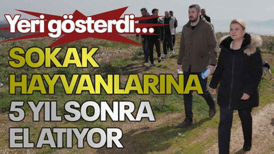 Yeri gösterdi… Sokak hayvanlarına 5 yıl sonra el atıyor
