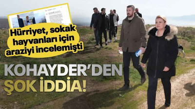 Hürriyet, sokak hayvanları için araziyi incelemişti KOHAYDER’den şok iddia!