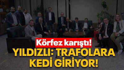 Körfez karıştı! Yıldızlı: Trafolara kedi giriyor!