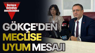 Gökçe'den meclise uyum mesajı