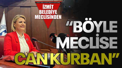 Hürriyet: Böyle meclise can kurban