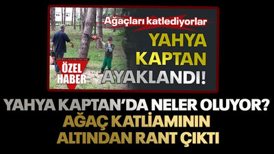 Yahya Kaptan’da neler oluyor? Ağaç katliamının altından rant çıktı