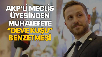 AKP’li meclis üyesinden muhalefete “deve kuşu” benzetmesi