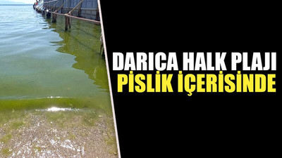 Darıca halk plajı pislik içerisinde