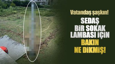 SEDAŞ bir sokak lambası için bakın ne dikti! Vatandaş şaşkın